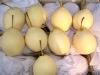 fresh ya pear