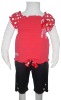 girl 2pcs / set,fashion garment, children wear