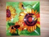 glass plate