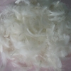 goose feather