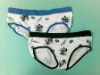 ladies' Underwear,Girl Underwear