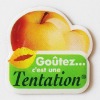 magnet sticker