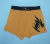 man boxer / man underwear / boxer shorts