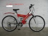 mountain bicycle