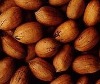 pecan,pecan nuts,in shell pecan,nut