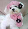 pet's acrylic hat and acrylic scarf