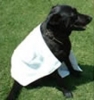 pet wrap towel