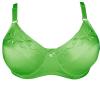 plus size bra