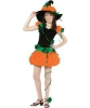 pumpkin witch costume