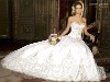 sell 2009 newest style of wedding dresses accept paypal payment .
