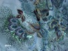sequin fabric , embroidery silk fabric  for evening dress, wedding dress, flower dress. HOT!!!
