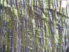 silk georgette fabric ART10