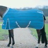 stable rug