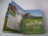 stock book, HW90108M board book, stocklots, closeout