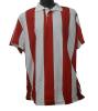stripe polo shirt