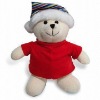 teddy bear/plush teddy bear/ stuffed teddy bear