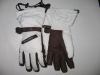 ski glove