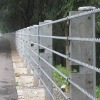 wire rope barrier