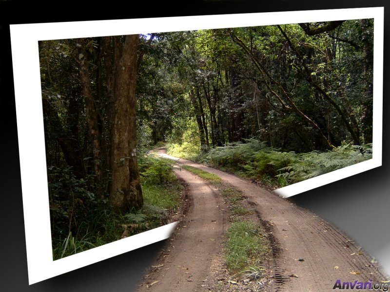 cool 3D pictures