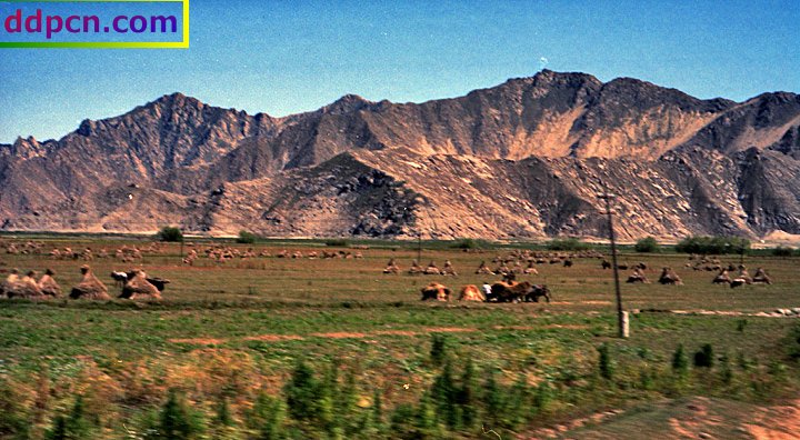 tibet