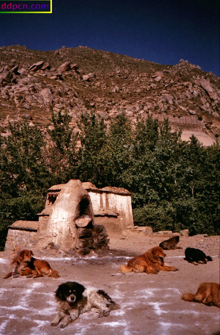 tibet