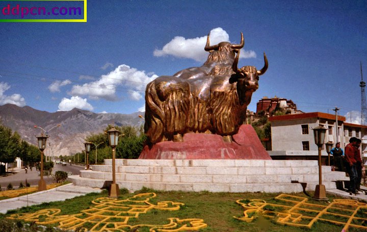tibet