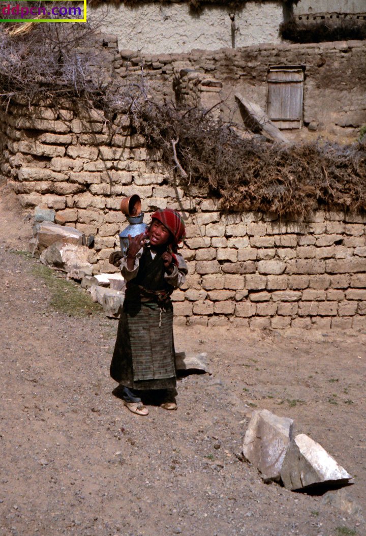 tibet