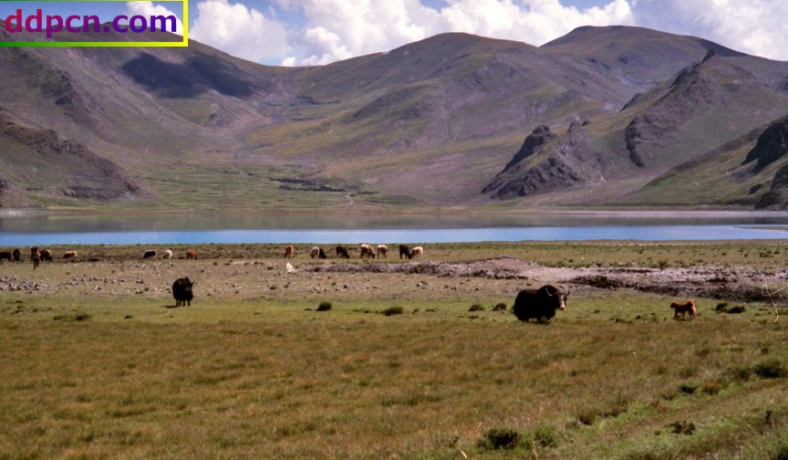 tibet