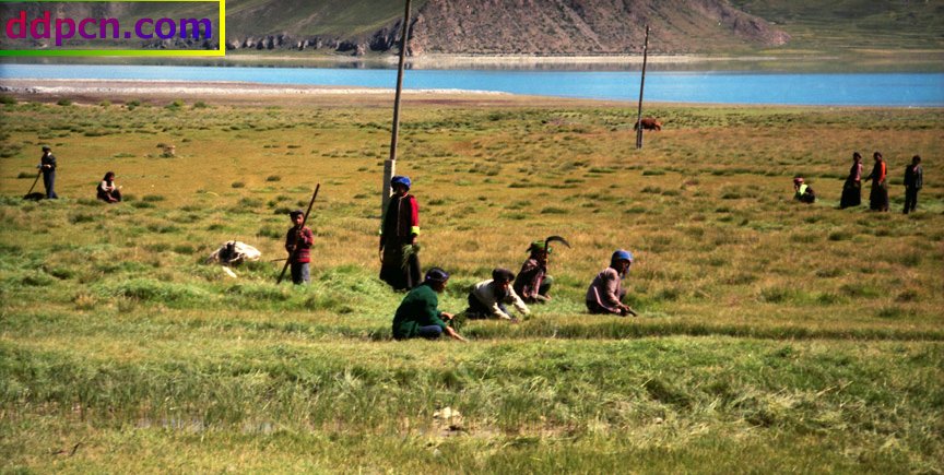 tibet