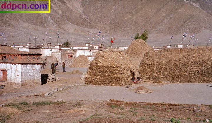 tibet