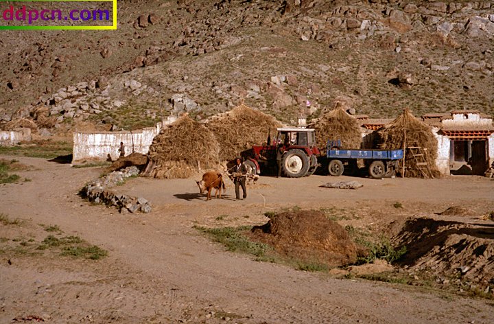 tibet