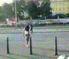 Cool funny animated avatar