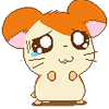 Funny animated gifs avatars