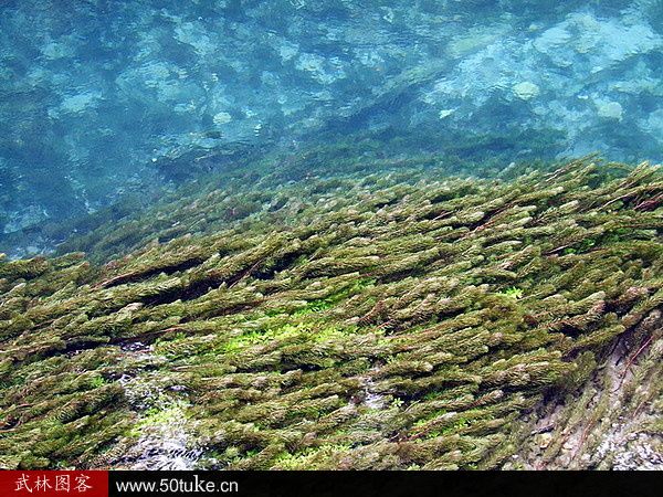 Jiuzhaigou