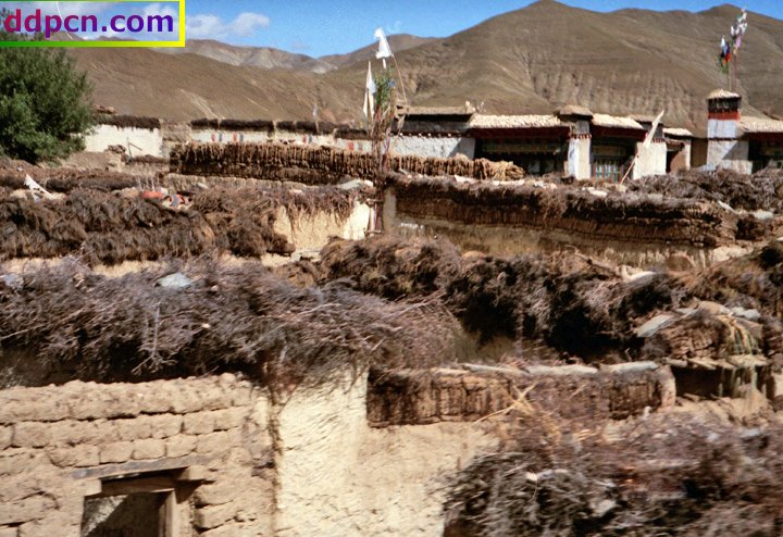 tibet