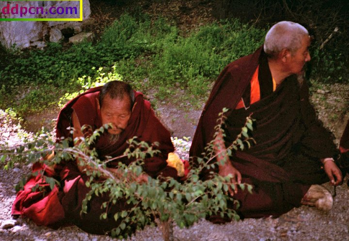 tibet