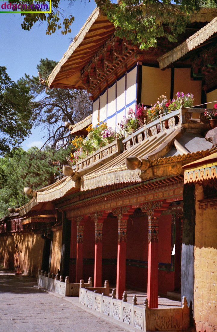 tibet