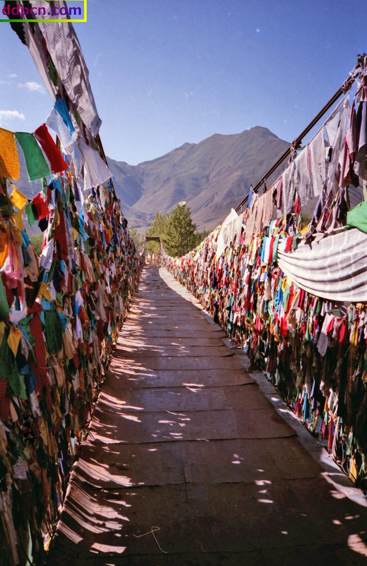 tibet