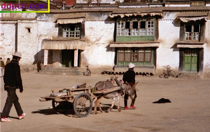 tibet