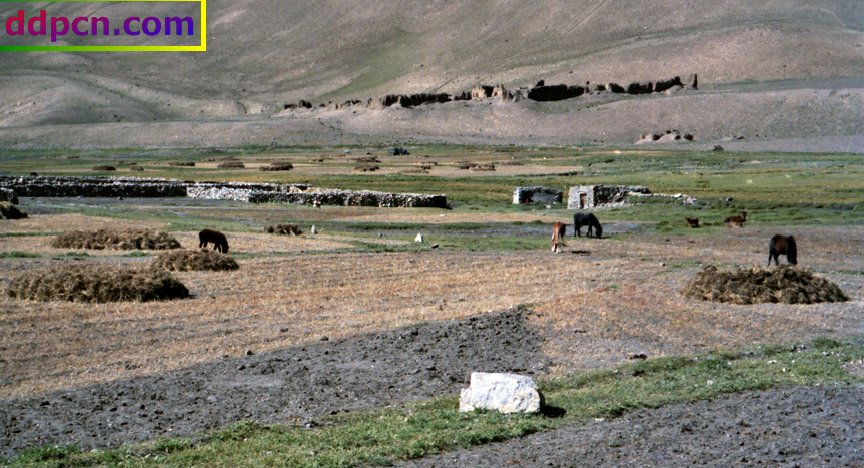 tibet