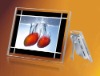 10.4" Large size digital photo frame, LCD digital photo frame, digital picture frame, digital picture viewer, digital viewer.