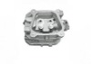 168F(Gx160) Cylinder Head