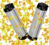 36V 19AH Lithium EV Battery