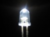 5mm Round LED