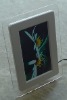 7" simple function digital photo frame, lcd digital frame, digital picture frame, digital picture viewer, picture frame. frame.