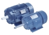 AEEF electrical motor