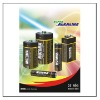 Alkaline Battery