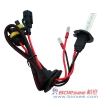 BORSEE xenon bulb H7
