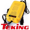 Battery Charger(used by electric vehicle AO03)