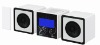 Bluetooth Amplifier and Speaker BT200